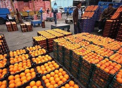 1900 تن سیب و پرتقال برای شب عید کرمانشاهیان خریداری می گردد