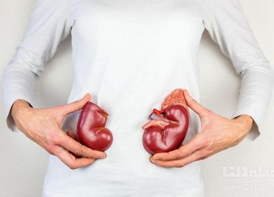 سبزیجات مفید برای کلیه