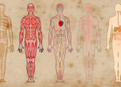 11 نقطه باورنکردنی در بدن که محل زندگی باکتری ها هستند