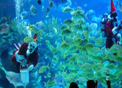 تور کوالالامپور ارزان: سفری در زیر آب با آکواریوم کی ال سی سی کوالالامپور