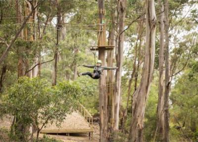 تور ارزان استرالیا: اولین پارک زیپ لاین استرالیا افتتاح شد