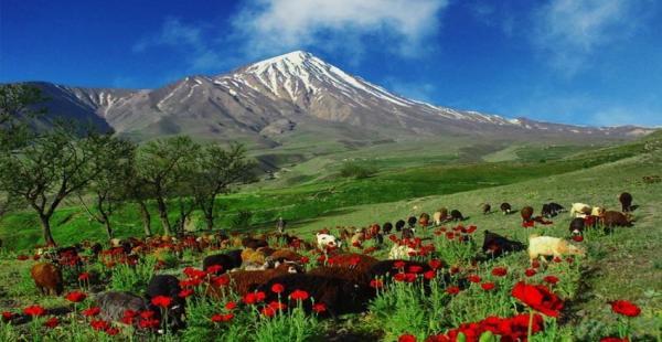 طبیعت گردی در نوروز : 12 مقصد بی نظیر در چهار گوشه ایران